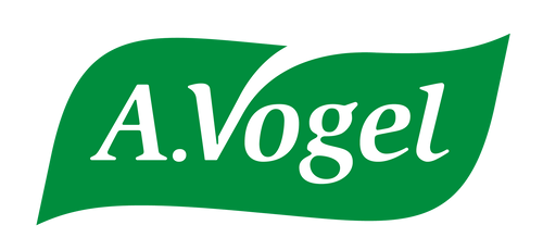 logo daepp