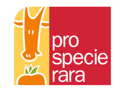 prospecierara 250