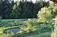 img_IMGP0350.jpg